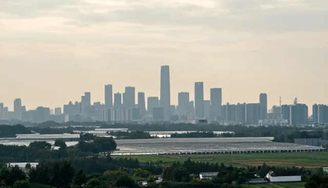 信息查询平台选型关注点：适用情况与限制分析