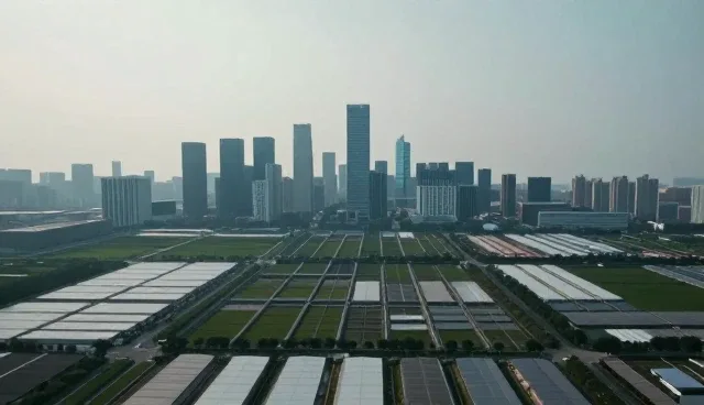 常德百度推广选型关注点:信息查询平台的两个实际环节